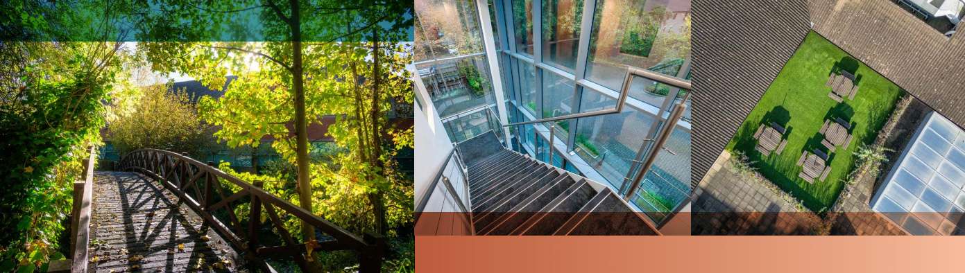 what-was-commisioned - Duncan MacBrayne Wooden bridge surrounded by greenery, interior staircase with glass walls, and aerial view of landscaped garden with seating areas, showcasing the quality and accessibility of Dukes Meadow commercial property.